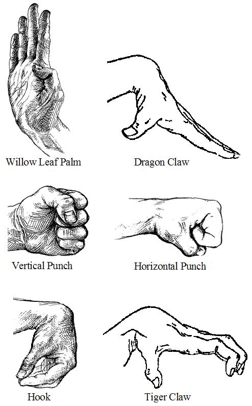 shaolInhandpositions